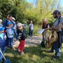 In Palude Bruschera ad Angera con gli esperti: BioBlitz e Giornata delle farfalle