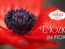 Emozioni in Fiore: Varese sboccia da Agricola Home&amp;Garden