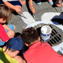 Blitz ambientalista dei bimbi ad Angera: basta mozziconi di sigaretta nei tombini Blitz ambientalista dei bimbi ad Angera: basta mozziconi di sigaretta nei tombini