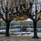 Quando il vento racconta la tradizione: crociere in barca a vela d'epoca sul Lago Maggiore Quando il vento racconta la tradizione: crociere in barca a vela d'epoca sul Lago Maggiore