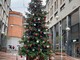 Busto aspetta il Natale. Arriva l'albero in via Milano