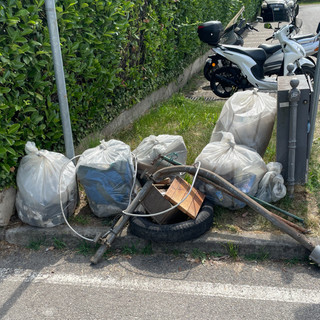 Alcuni dei rifiuti raccolti durante la camminata ecologica tra Azzate e Cazzago Brabbia