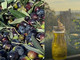 Un'altra eccellenza per Angera: l'olio extravergine di oliva ha ottenuto la De.Co Un'altra eccellenza per Angera: l'olio extravergine di oliva ha ottenuto la De.Co