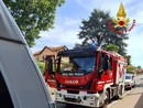 L'intervento dei vigili del fuoco in via Matteotti ad Angera L'intervento dei vigili del fuoco in via Matteotti ad Angera