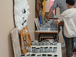 I lavori all'orato verticale della scuola primaria Pascoli di Besozzo I lavori all'orato verticale della scuola primaria Pascoli di Besozzo