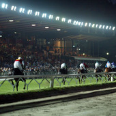 Dopo la pausa estiva il Premio Sga riaccende le Bettole Dopo la pausa estiva il Premio Sga riaccende le Bettole