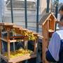 I lavori all'orato verticale della scuola primaria Pascoli di Besozzo