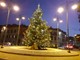 Il grande albero di Natale in piazza 1° Maggio (foto di Maria Luisa Torre)