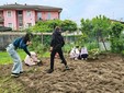 I lavori all'orato verticale della scuola primaria Pascoli di Besozzo I lavori all'orato verticale della scuola primaria Pascoli di Besozzo