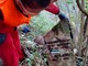FOTO. Giornata ecologica a Besozzo: tra i rifiuti ritrovata anche la lapide di un bambino morto nel 1963