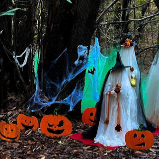 A SPASSO NEL WEEKEND. Fine settimana &quot;lungo&quot; con Halloween, ma anche con castagnate e buon cibo in provincia di Varese