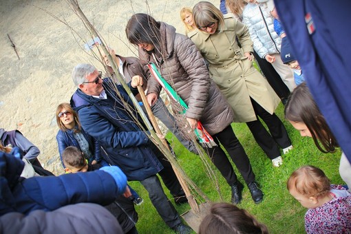 Un albero per i nuovi nati a Cittiglio - foto Arianna Sessi Un albero per i nuovi nati a Cittiglio - foto Arianna Sessi
