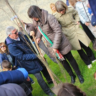 Un albero per i nuovi nati a Cittiglio - foto Arianna Sessi