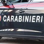 Vedano Olona, i carabinieri sventano un furto in casa della "banda dell'Alfa Romeo": malvivente bloccato, due in fuga Vedano Olona, i carabinieri sventano un furto in casa della "banda dell'Alfa Romeo": malvivente bloccato, due in fuga