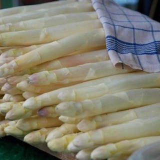 L'asparago bianco di Cantello re incontrastato del fine settimana in provincia di Varese