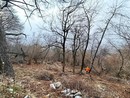 I cantieri forestali in corso sul versante sud del Campo dei Fiori a Luvinate