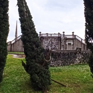 La situazione degli alberi al parco di Villa Tatti a Comerio
