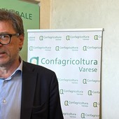 «Universalismo e sostenibilità del sistema sanitario nazionale»: Giorgetti all’Insubria per il confronto sulla sanità