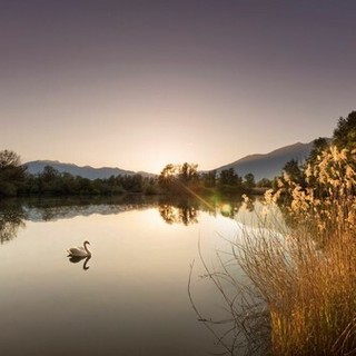 foto Alessio Pizzicanella