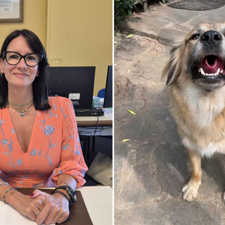 Fiona è fuori pericolo. L’assessore Cozzi condanna i colpevoli: «Gesto doloso, è un atto da delinquenti»