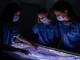 Gli infermieri del futuro si formano a Castellanza: 30 posti disponibili per il corso di laurea triennale