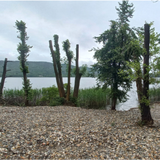 La spiaggia abusiva sul lago di Comabbio La spiaggia abusiva sul lago di Comabbio