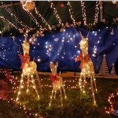 Lo spettacolo delle lucine di Natale a Cardana di Besozzo Lo spettacolo delle lucine di Natale a Cardana di Besozzo