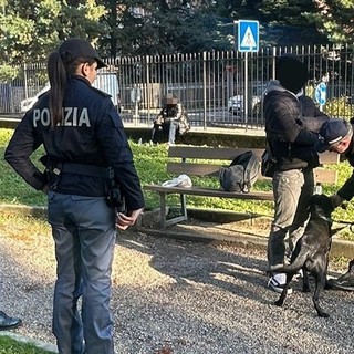 Controlli in zona stazione a Gallarate: il cane poliziotto Zorro fiuta l'hashish
