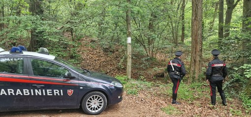 Ancora un blitz anti spaccio nei boschi del Parco Pineta: un arresto a Tradate
