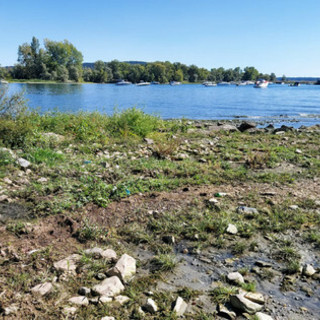 Con la canicola arriva anche la siccità: il livello del Lago Maggiore calato di 49 centimetri in due settimane