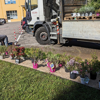 L'azienda Zeiss sposa la biodiversità: piantumati fiori e cespugli nel giardino dello stabilimento di Castiglione Olona