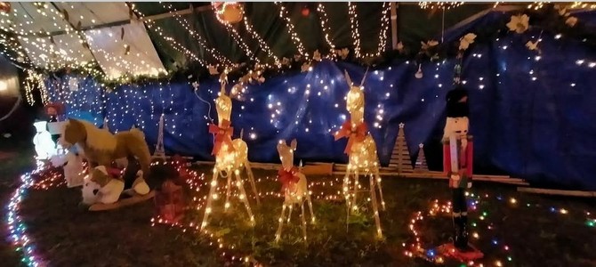 Lo spettacolo delle lucine di Natale a Cardana di Besozzo Lo spettacolo delle lucine di Natale a Cardana di Besozzo