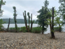 La spiaggia abusiva sul lago di Comabbio La spiaggia abusiva sul lago di Comabbio