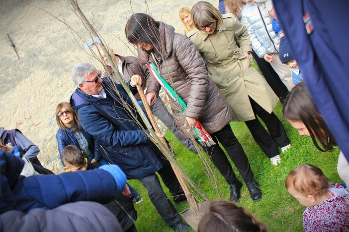 Un albero per i nuovi nati a Cittiglio - foto Arianna Sessi Un albero per i nuovi nati a Cittiglio - foto Arianna Sessi