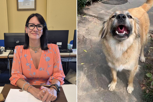 Fiona è fuori pericolo. L’assessore Cozzi condanna i colpevoli: «Gesto doloso, è un atto da delinquenti» Fiona è fuori pericolo. L’assessore Cozzi condanna i colpevoli: «Gesto doloso, è un atto da delinquenti»