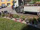 L'azienda Zeiss sposa la biodiversità: piantumati fiori e cespugli nel giardino dello stabilimento di Castiglione Olona