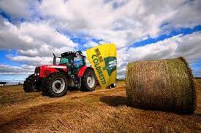 Agricoltura: Varese accoglie gli Oscar Green. Lombardia: a Ville Ponti le idee dei giovani