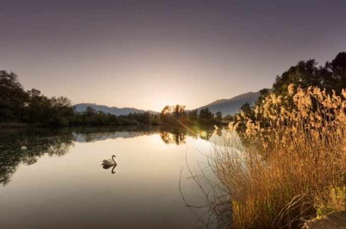 foto Alessio Pizzicanella foto Alessio Pizzicanella