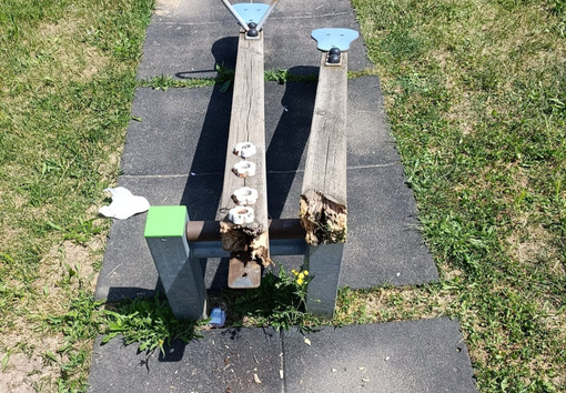Il vandalismo compiuto al parco di Clivio (foto dalla pagina Facebook del Comune)