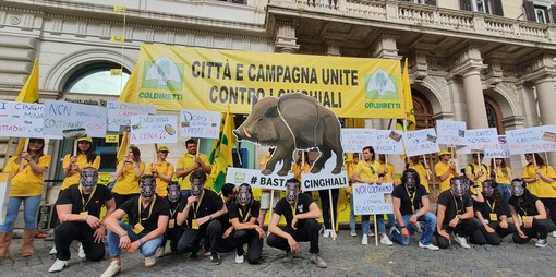 Il flash mob di Coldiretti di oggi a Roma contro i cinghiali