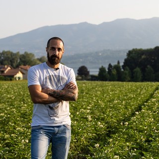 Damiano Carotti in uno dei suoi campi di patate