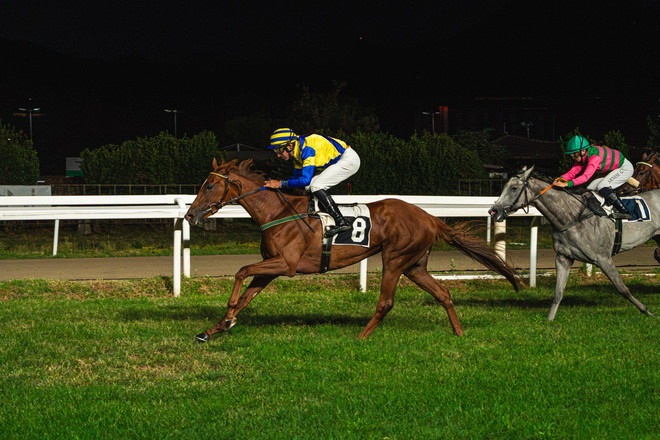 Provenza vince il Marcialis (qui e nelle prime due foto in gallery) Provenza vince il Marcialis (qui e nelle prime due foto in gallery)