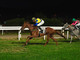 Provenza vince il Marcialis (qui e nelle prime due foto in gallery)