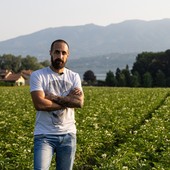 Damiano Carotti in uno dei suoi campi di patate