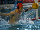 (Le foto della partita: si ringrazia Daniele Osigliani e la Varese Olona Nuoto per gli scatti) (Le foto della partita: si ringrazia Daniele Osigliani e la Varese Olona Nuoto per gli scatti)