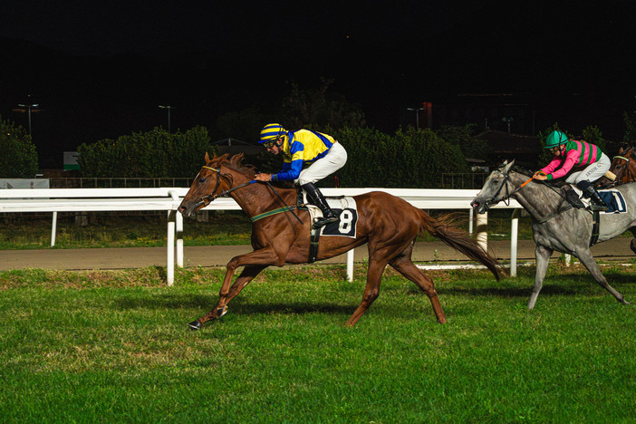 Provenza vince il Marcialis (qui e nelle prime due foto in gallery) Provenza vince il Marcialis (qui e nelle prime due foto in gallery)