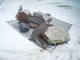 Storia di un'anguilla salvata nel Parco del Ticino e di una buona azione in tempi di crisi idrica