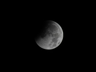 Le immagini dell'eclissi fotografate dal fotografo varesino Le immagini dell'eclissi fotografate dal fotografo varesino