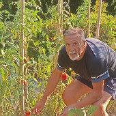 L'esperto Edy Barzan al lavoro nell'orto L'esperto Edy Barzan al lavoro nell'orto