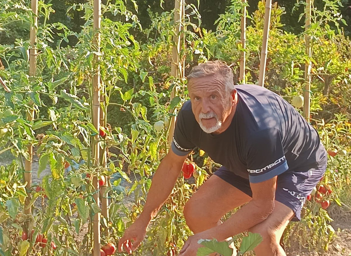 L'esperto Edy Barzan al lavoro nell'orto L'esperto Edy Barzan al lavoro nell'orto